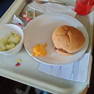 A simple hospital meal featuring a burger, a side salad, and some fruit.