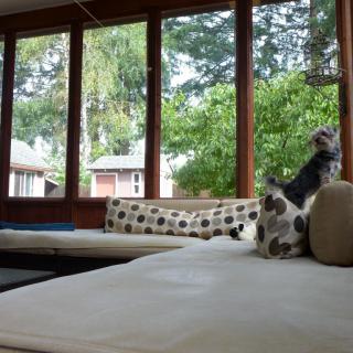 A cozy living room with large windows and comfortable seating, offering a view of lush greenery outside.
