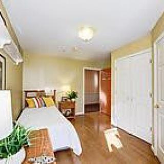 A cozy bedroom with a single bed, wooden flooring, and ample closet space.