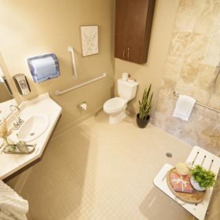 An accessible bathroom with modern amenities, featuring a sink, toilet, grab bars, and decorative elements.