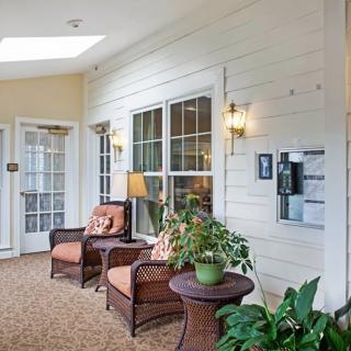 A cozy lounge area with comfortable chairs, decorative plants, and large windows.