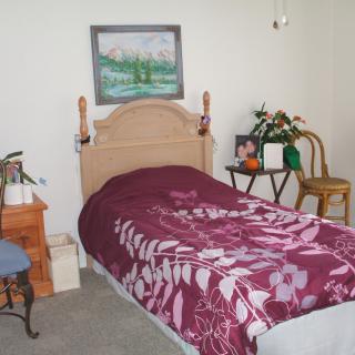 A cozy bedroom with a twin bed, floral comforter, and decorative plants.