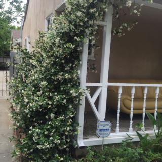 A quaint porch with flowering vines climbing up the railing.