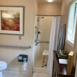 An accessible bathroom with a shower, toilet, and artwork on the wall.