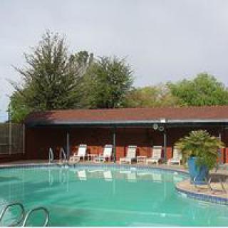 An outdoor swimming pool with lounge chairs and greenery.