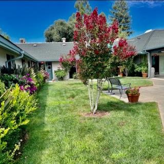 A vibrant garden showcasing lush greenery and colorful flowers, perfect for relaxation.