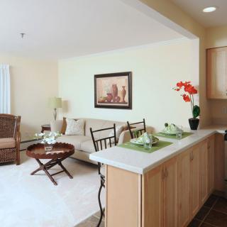 An open-concept living area featuring a cozy sofa, chairs, and a dining counter with bar stools in a modern interior design.