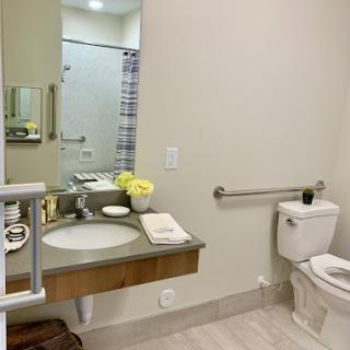 A modern bathroom featuring a sleek sink, a toilet, and accessibility features.