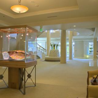 A modern museum interior featuring a display case with artifacts.