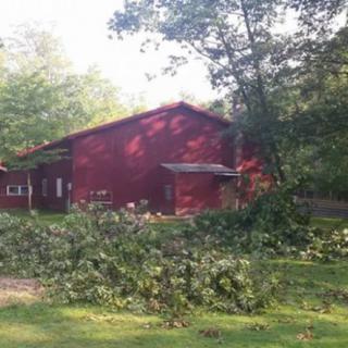 A red house surrounded by trees, with fallen branches scattered across the yard.