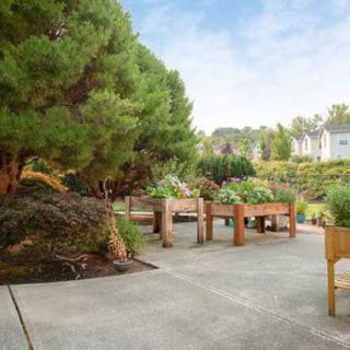 A serene outdoor garden with raised beds and lush trees.