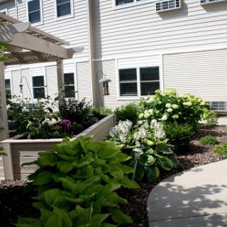 A beautifully landscaped garden area featuring various plants and flowers next to a building.