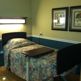 A comfortable patient room featuring a hospital bed and tasteful wall art.