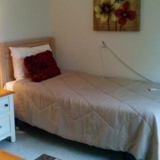 A cozy bedroom with a single bed, nightstand, and floral wall art.