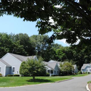A peaceful suburban neighborhood with white houses and lush greenery.