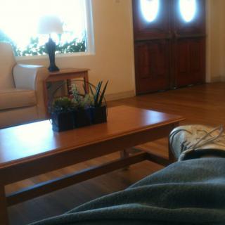A cozy living room with a wooden coffee table, sofa, and indoor plants near a window.