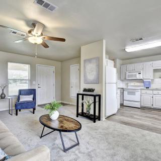 A modern open floor plan living space with a connected kitchen, featuring a ceiling fan, carpet flooring, and stylish furniture.
