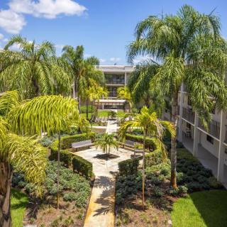 A sunny courtyard featuring lush palm trees and a well-maintained garden in a residential complex.
