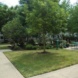 A serene garden with lush greenery, featuring trees, a well-maintained lawn, and a paved pathway.