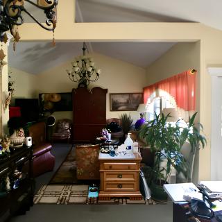 A cozy living room with elegant lighting, lush plants, and warm decorations.