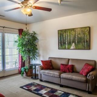 A cozy living room with a sofa, indoor plant, and artwork on the wall.