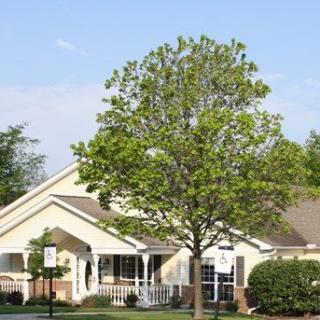 A suburban house with a large tree in front and a clear blue sky.