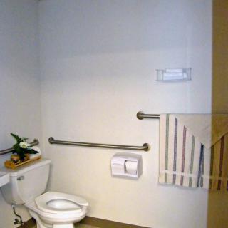 An accessible bathroom with grab bars, a toilet, and a towel rack.