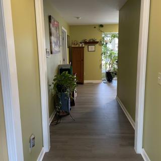 A well-lit hallway with wooden flooring and decorative plants.