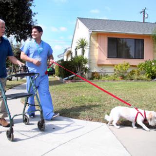 An elderly man uses a walker while being assisted by a caregiver as they take a walk with a friendly dog in a residential area.