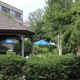 A tranquil garden area with a wooden gazebo, surrounded by lush greenery and blue umbrellas.