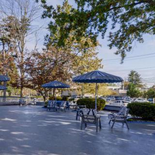 A sunny outdoor patio with tables, chairs, and umbrellas surrounded by trees.