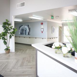 A modern and bright reception area with stylish decor, featuring plants and artwork.