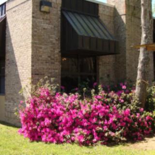Bonifay Nursing And Rehab Center