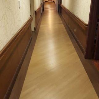 A long, well-lit hallway featuring wooden flooring and classic wall design.