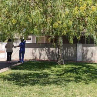 Two people standing near a wall under the shade of a large tree on a sunny day.