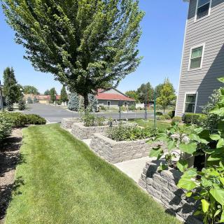 A well-maintained garden with lush greenery and trees next to a building on a sunny day.