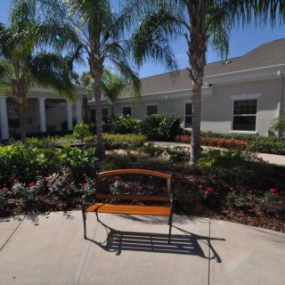 A sunny outdoor scene with a bench surrounded by palm trees and a well-maintained garden.