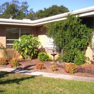 A suburban house with a well-maintained front garden featuring various plants and bushes.