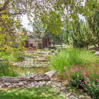 A serene garden scene with a pond surrounded by lush greenery and trees.