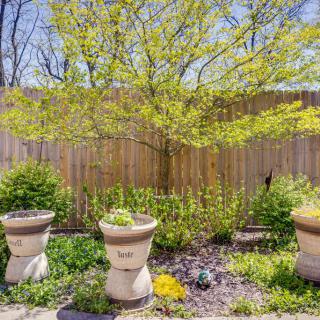 A peaceful garden scene featuring three large planters and a vibrant tree against a wooden fence.