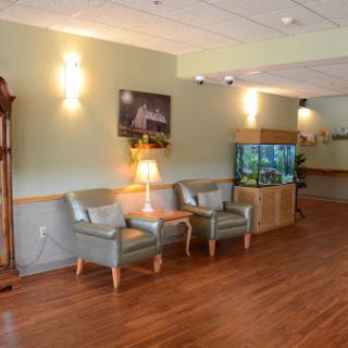 A cozy waiting area featuring comfortable seating, ambient lighting, and an aquarium.