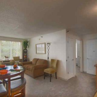 Senior Suites New City