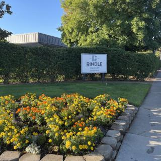 A landscaped garden with colorful flowers, a sidewalk, and a sign in front of a building and trees.