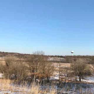 A serene winter landscape featuring trees and a clear blue sky.