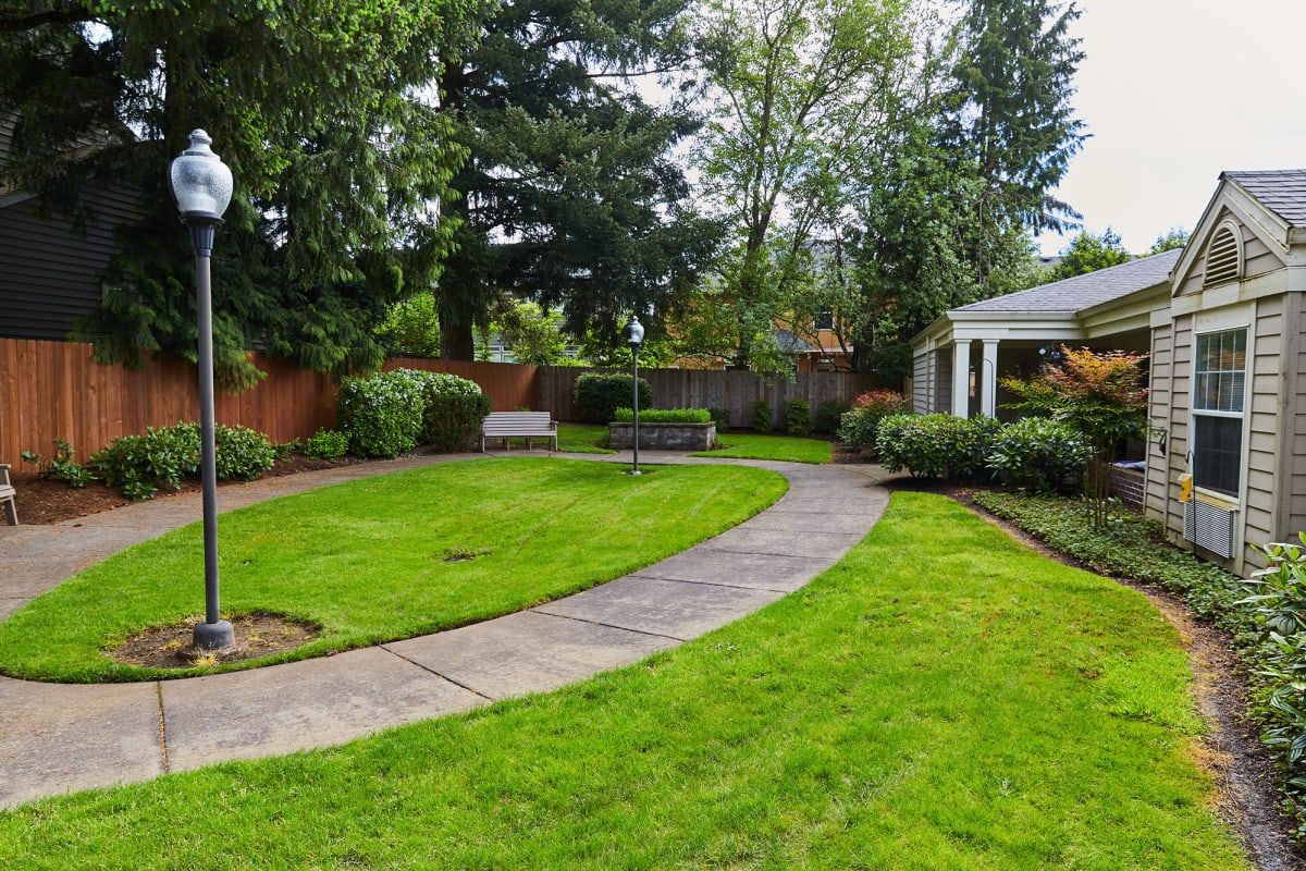 A well-maintained garden with a curving pathway and gazebo.