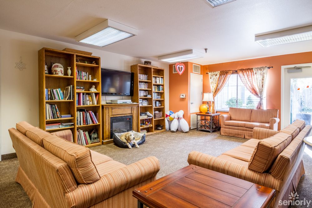 A cozy living room with bookshelves, sofas, and a fireplace.