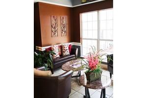 A cozy living room with a stylish sofa, decorative cushions, and vibrant plants.
