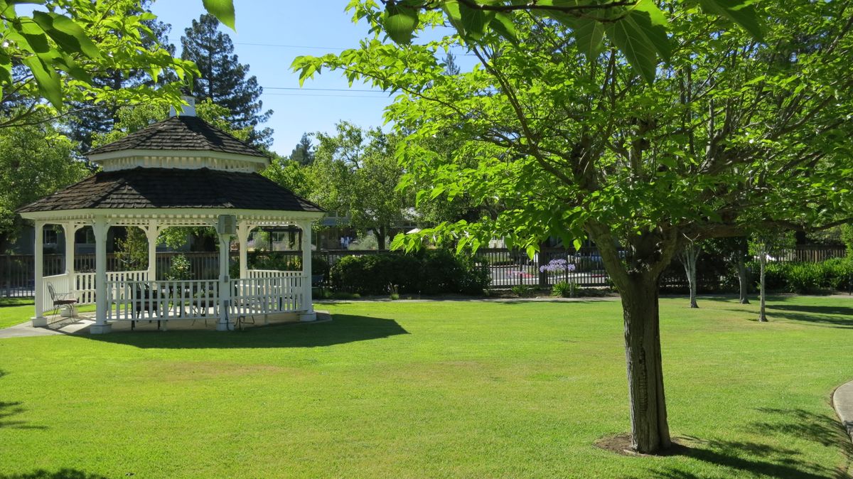 A serene park scene featuring a gazebo surrounded by lush green trees and grass.