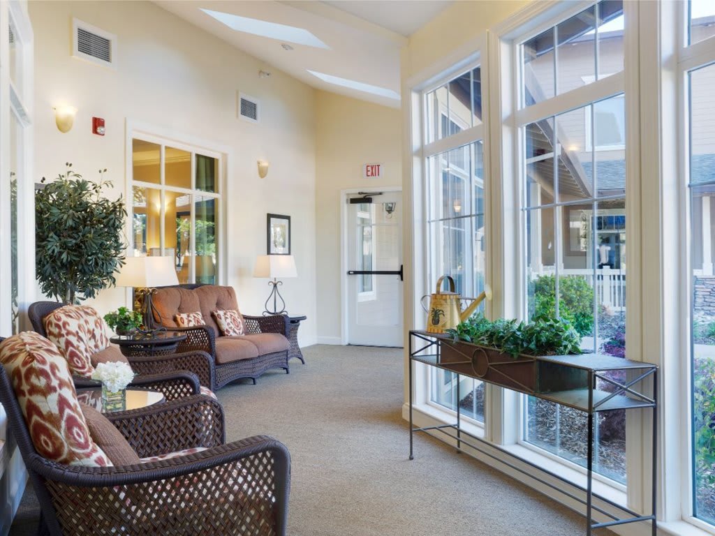 A cozy lobby area with comfortable seating, large windows letting in natural light, and green plants adding a touch of nature.