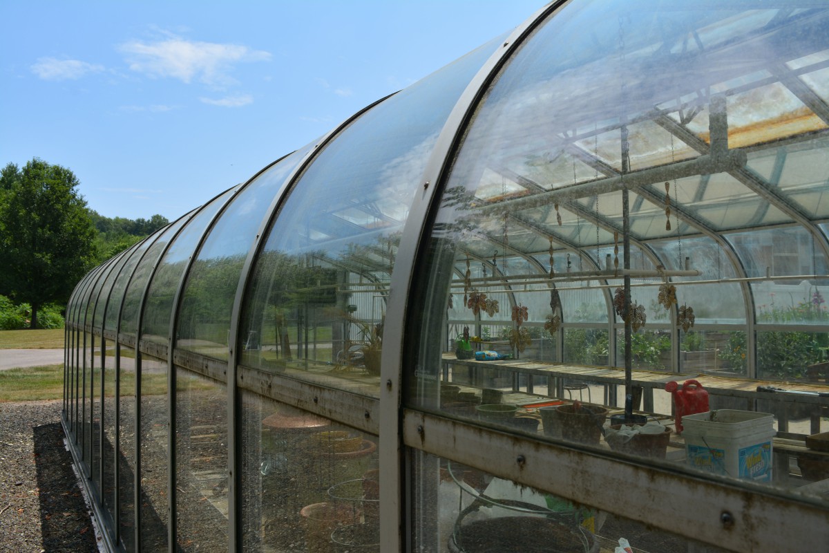 A curved glass greenhouse with plants visible inside.